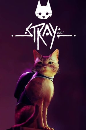 Stray/迷失