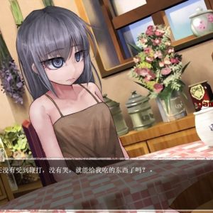 [奴隶少女希尔薇V3.0美容无疤魔改精翻版][PC+安卓][佳作/养成SLG/动态/3G]