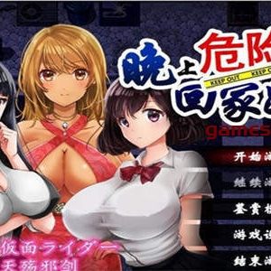 晚上危险的回家路 ver2.00 精翻汉化版[PC+安卓 +全CG包存档][950M]